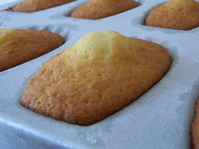 Madeleines au miel