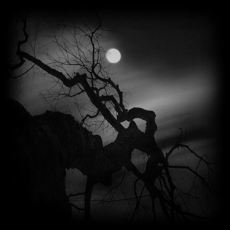 nuit2