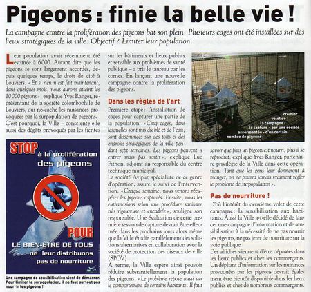 Pigeons_ds_Allez_Louviers