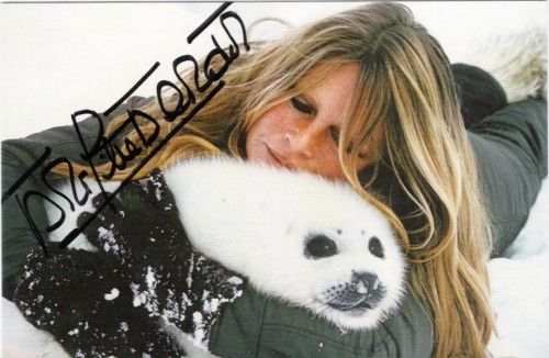bb_autograph-animaux-phoque-01