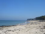 Noirmoutier_et_les_premi_res_pommes_de_terre_007