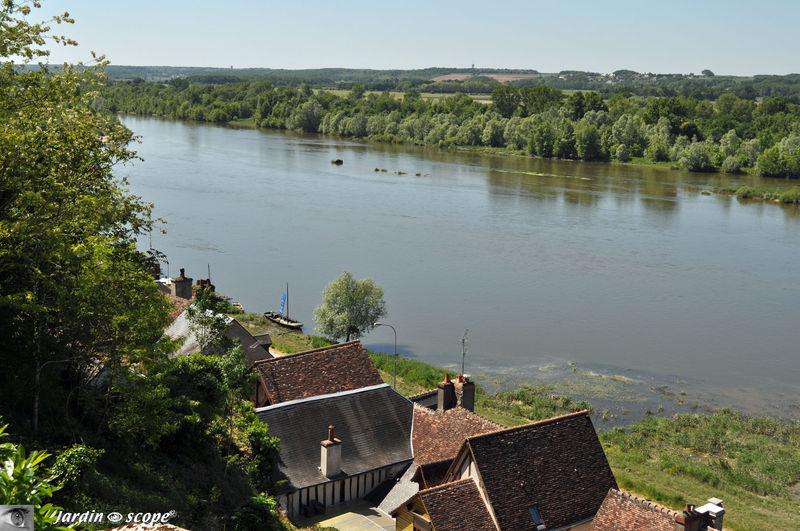 Depuis le Château de Chaumont sur Loire (Mai 2010)