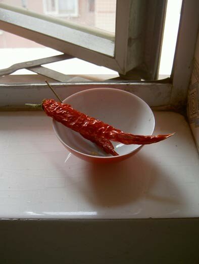 chilli02