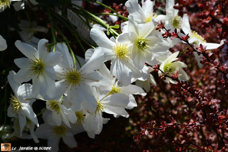 Parc-Floral-10