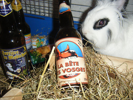 LA BETE DES VOSGES