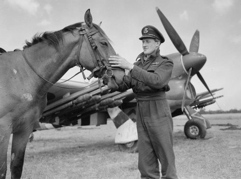 Royal_Air_Force_1939-1945-_Fighter_Command_CL993