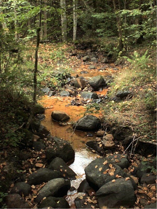 eau ferrugineuse à Ternant-les-Eaux
