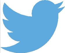 Twit