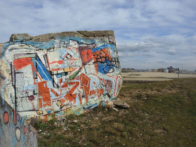 Tarnos, champ des blockhaus, usines et couelurs (40)