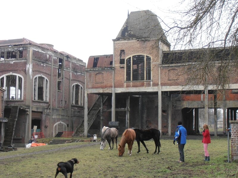Marcasse - cour avec chevaux