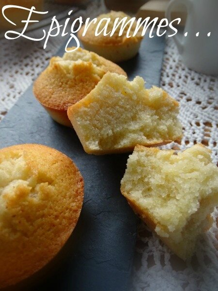 Financier01