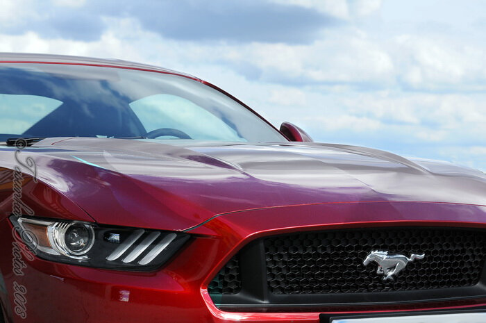 MustangV8_Tasunkaphotos2018_06