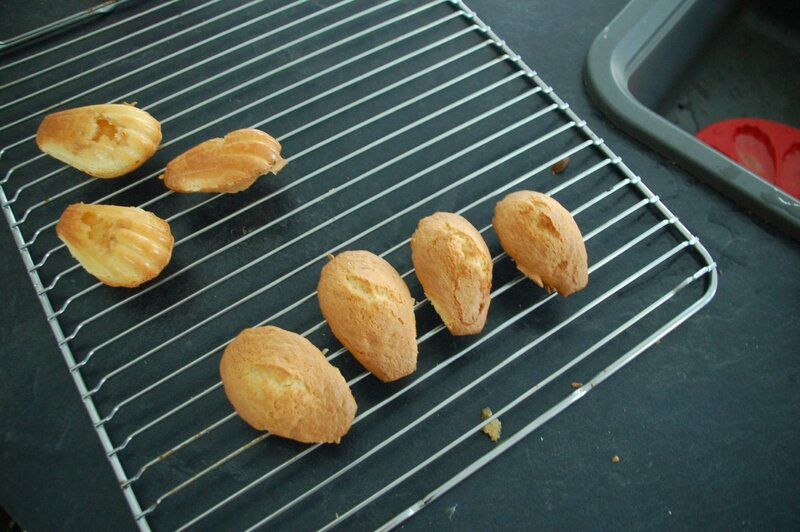 AM madeleines 3