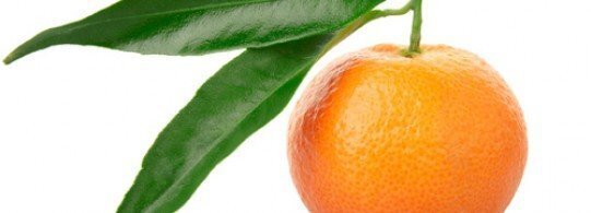 mandarine_jpg_recette_cat