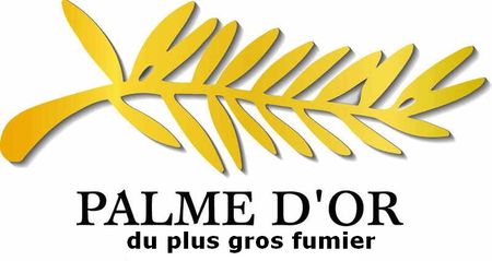 palme_dor