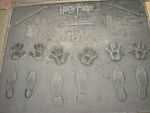 grauman_chinese_harry_potter