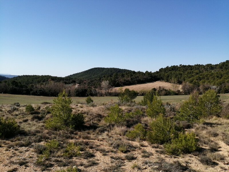 vers le petit lac - mars