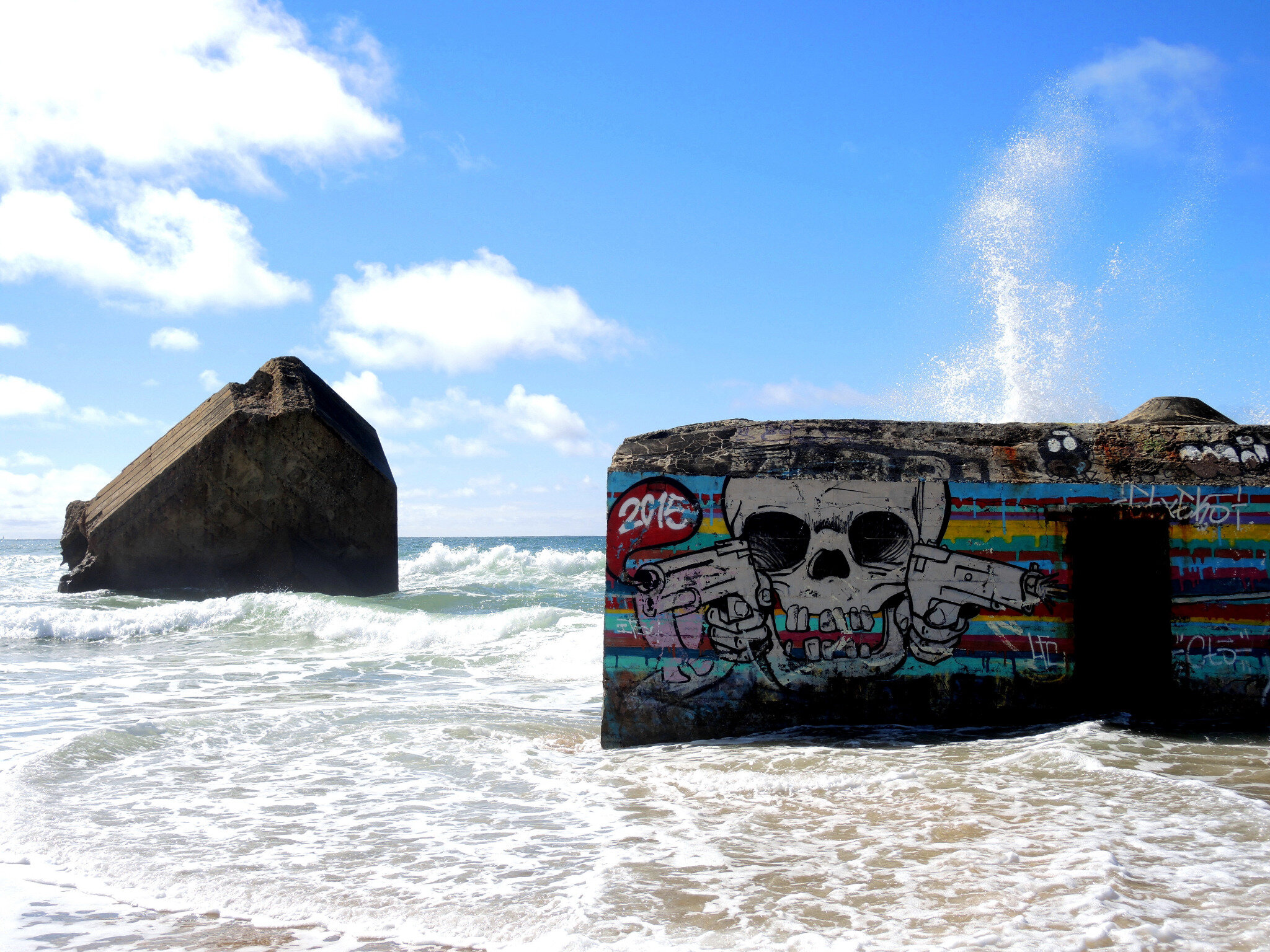 Capbreton, plage de la Savane, tête de mort  (40)