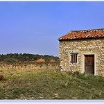 Cabanon-des-vignes-Vaison-la-Romaine Charlottess