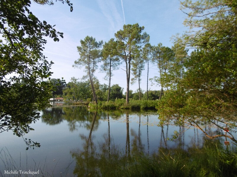 Etang de la Glacière 020918