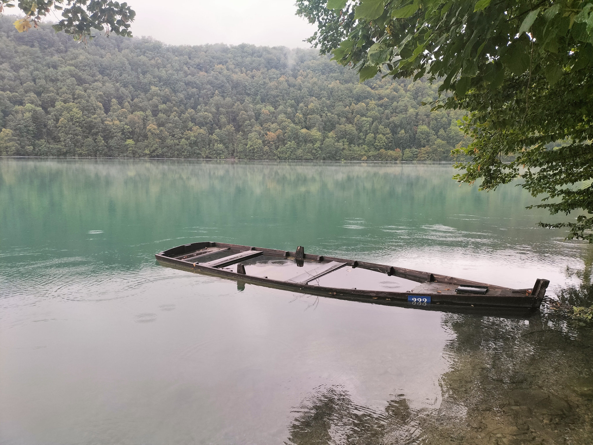 Menétrux-en-Joux, lac du Val, barque coulée (39)