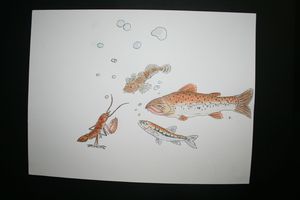 IMG_6297