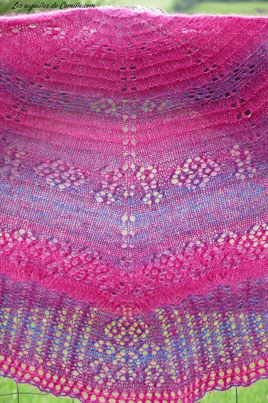 algasoie et zauberball 100 4