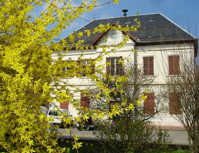 DSC03271 - Copie