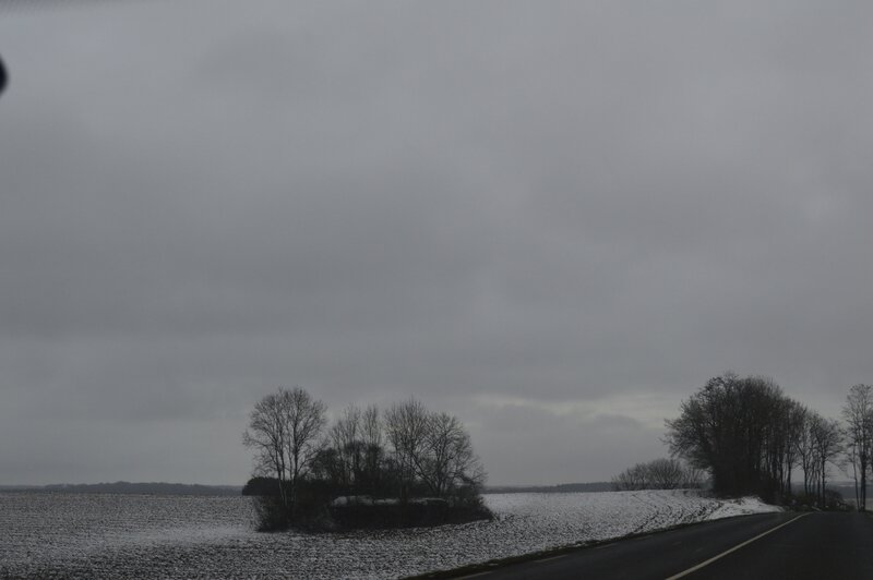 _DSC0092