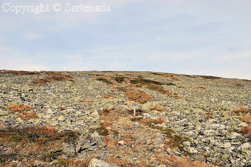 Palkaskero_Fell_Lapland_ (10)