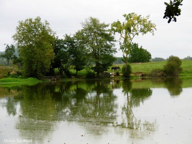 1-Etang de la Pounte, Oeyregave, Hastingues, Sorde Abbaye, Etang de la Sablère 230817