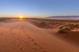 Le Désert de Kalahari en Namibie, Lieux Incontournables de la Namibie