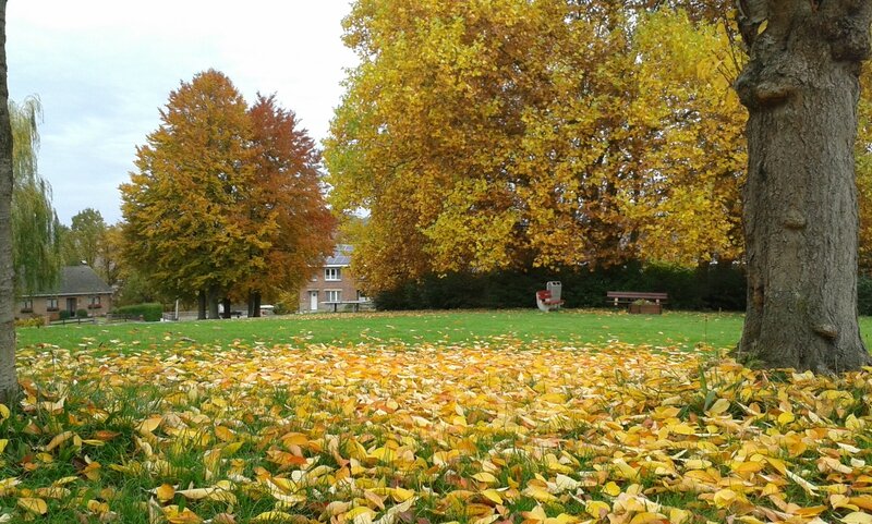 20151028_104257