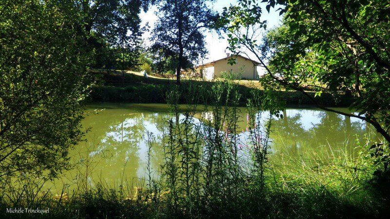 Etang de la Marnière 070816