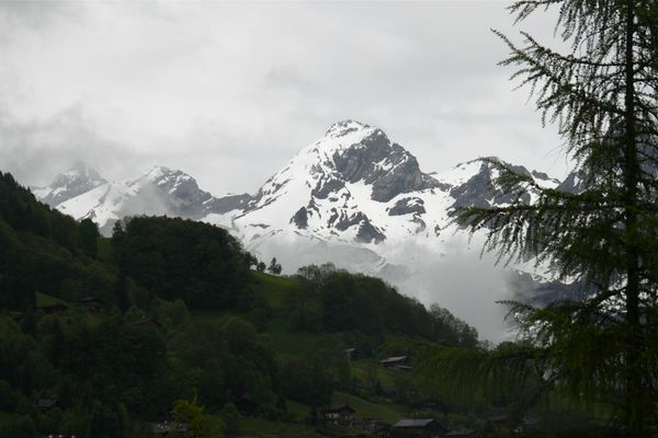 IMG_3781