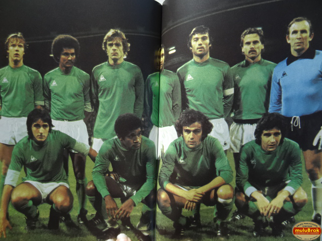 LES VERTS 80 muluBrok (7)
