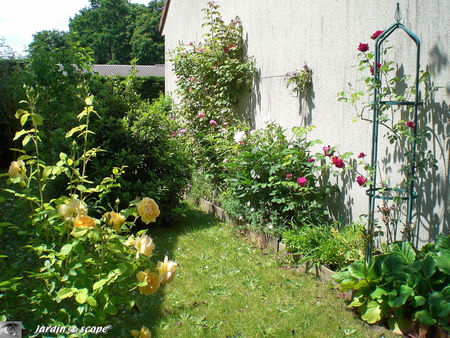 Jardin en pignon sud