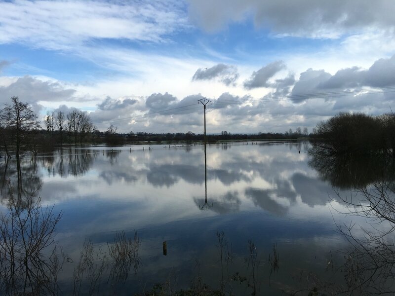 inondation crue 14 février 2016 Tirepied Sée champs