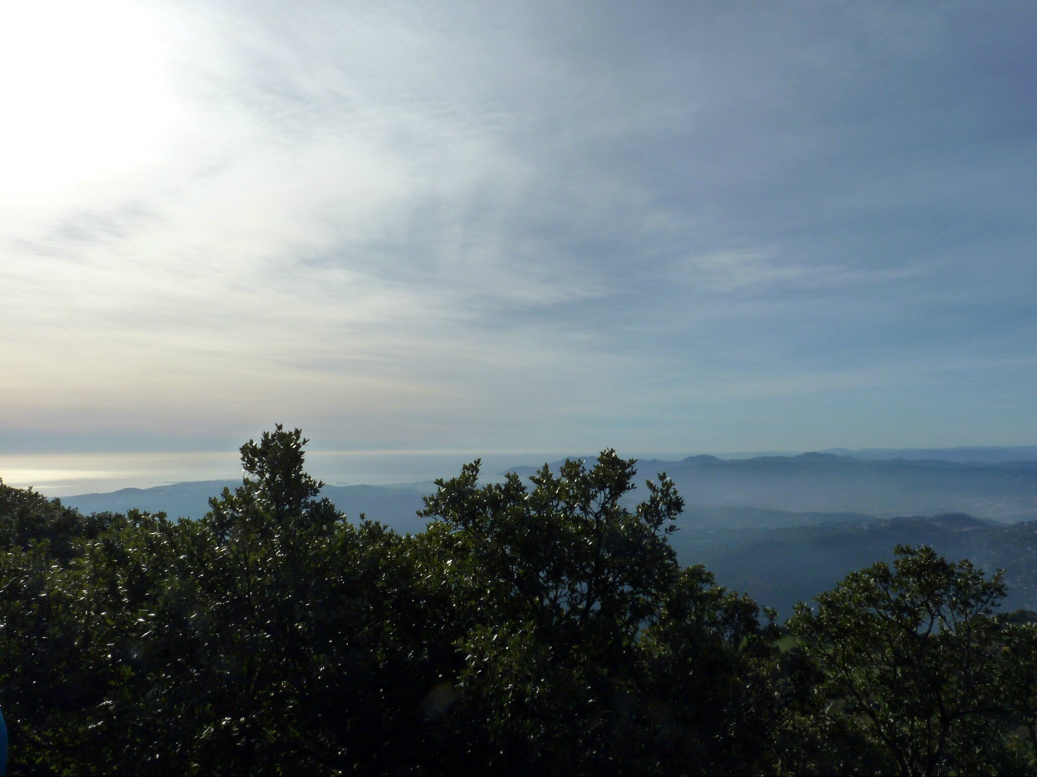 P1080377 - Copie