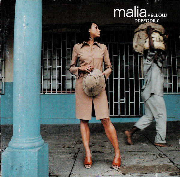 Album Malia Yellow daffodils