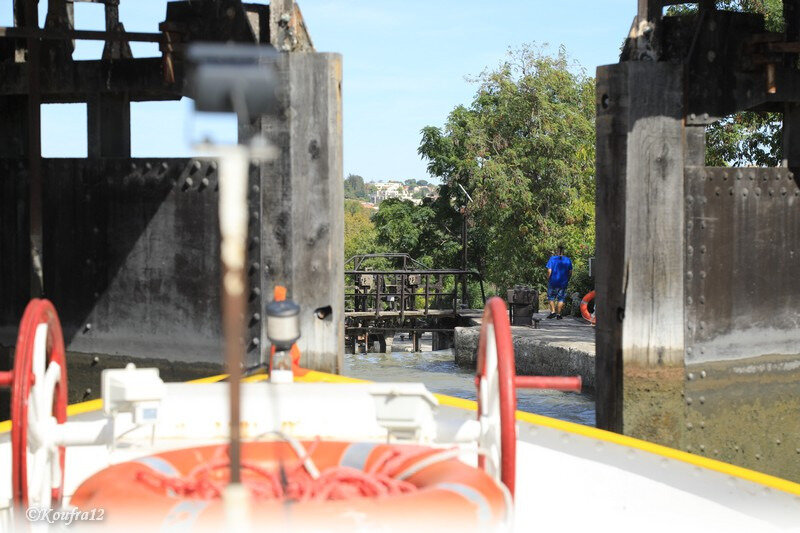 Photos JMP©Koufra12 - Canal du midi- 24092018 - 1972