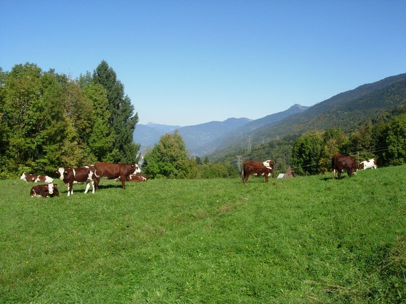 Campagne