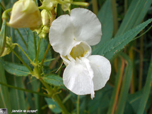 CIMG0334