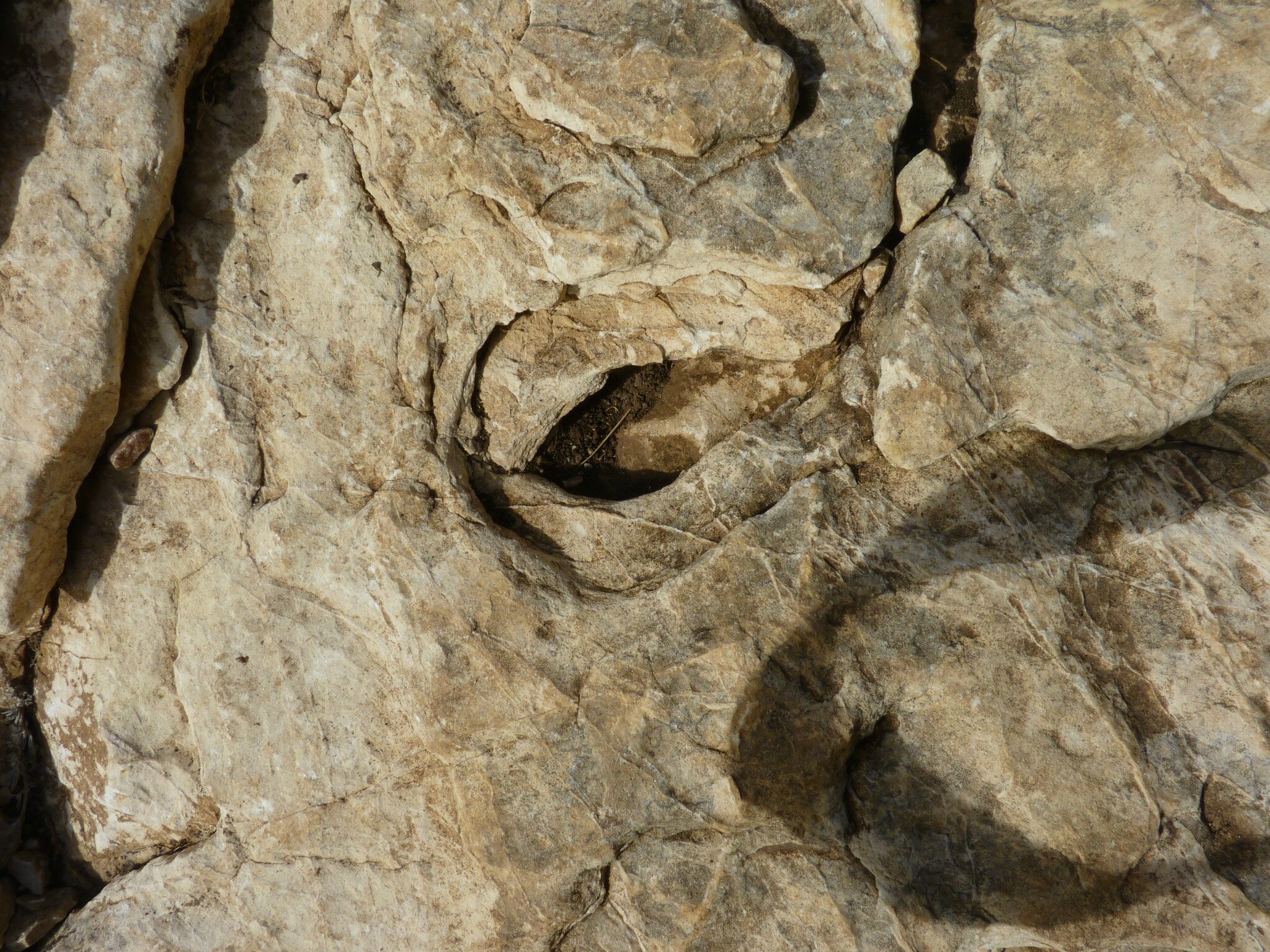 P1080383