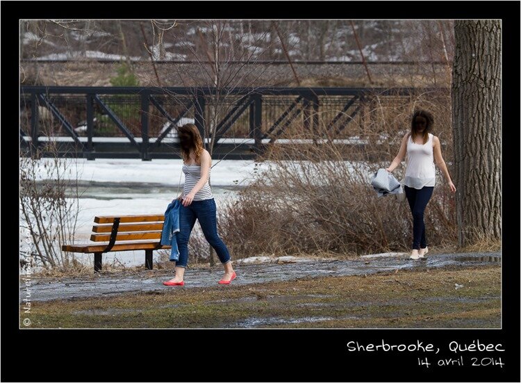 IMG_9934-naturelimages.com