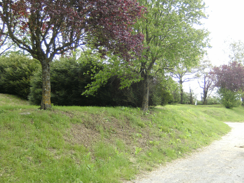 BILD0057