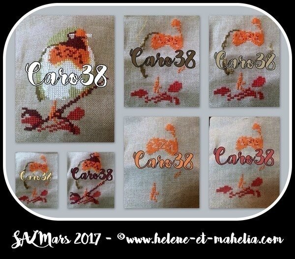 caro38_salmar17_col3