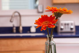 Risultati immagini per flowers in the kitchen