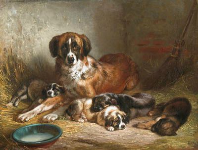 Adam_Benno_Bernese_Mountain_Dog_and_Her_Pups