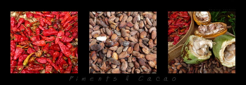 Piments___cacao